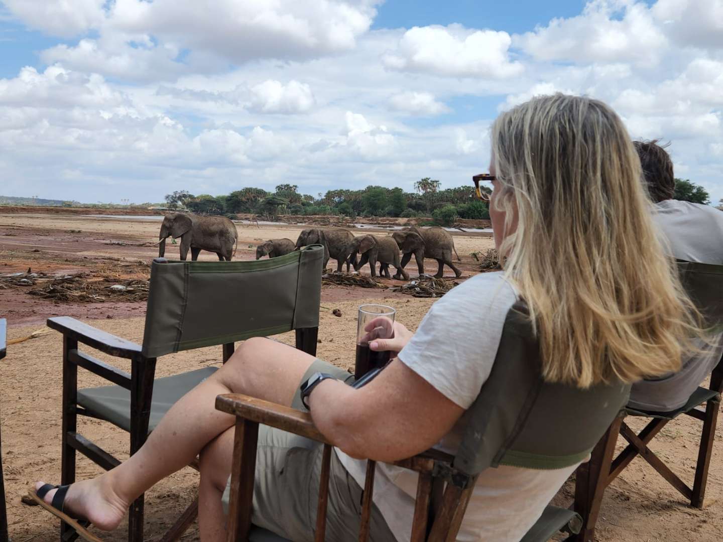 Samburu elephants by the Ewaso Ng'iro river