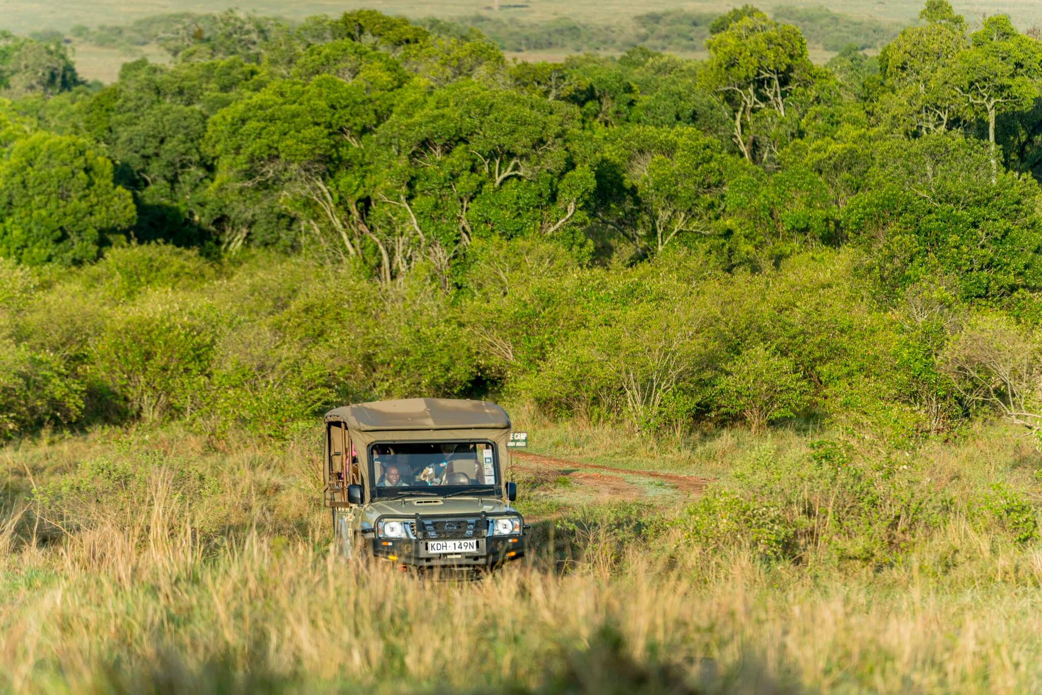 Safari vehicle in a green forested clearing